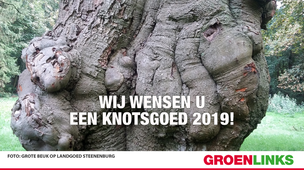 groenlinks 2019.png