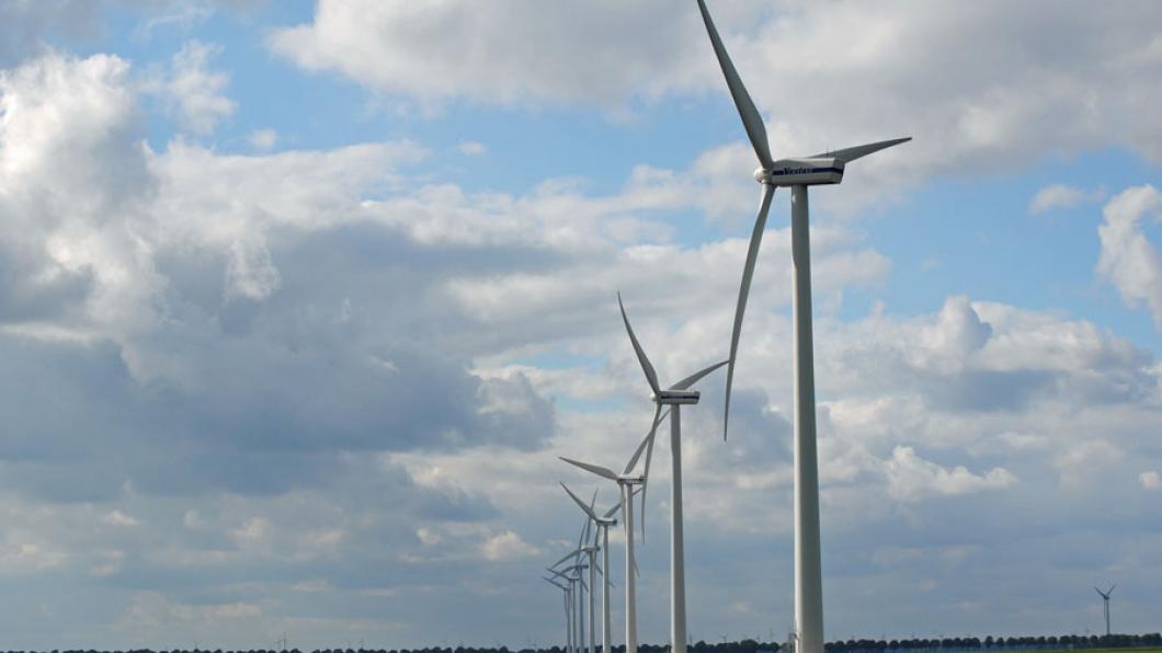 Windmolens in polder.jpg