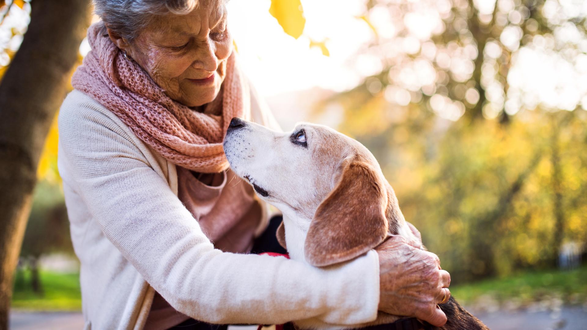 Een oudere vrouw knuffelt een beagle hond