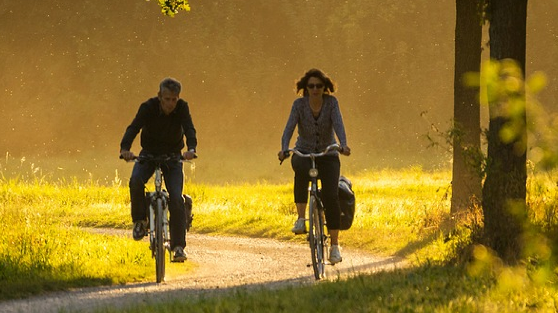 Fietsers