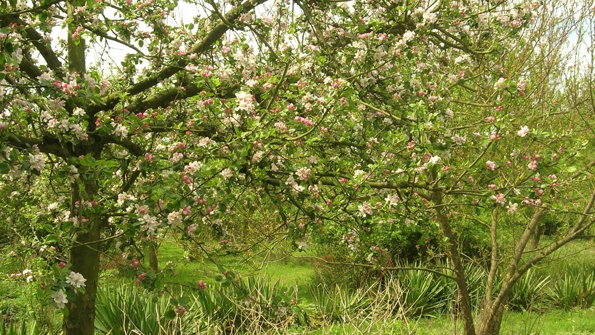 Voorjaar 2008 Wandelen.jpg